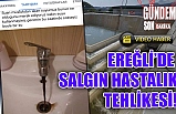 Ereğlide salgın hastalık tehlikesi!