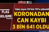 Türkiye'de koronavirüsten ölenlerin sayısı 3 bin 641'e yükseldi