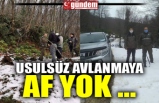 USULSÜZ AVLANMAYA AF YOK ...