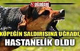 KÖPEĞİN SALDIRISINA UĞRADI, HASTANELİK OLDU