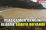 PLAJ ÇAMUR RENGİNİ ALARAK SARIYA BOYANDI