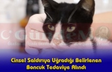 Cinsel Saldırıya Uğradığı Belirlenen Boncuk Tedaviye Alındı