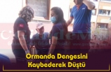 Ormanda Dengesini Kaybederek Düştü