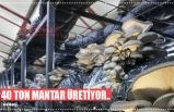 40 TON MANTAR ÜRETİYOR..