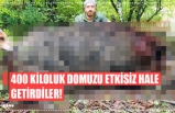 400 KİLOLUK DOMUZU ETKİSİZ HALE GETİRDİLER!