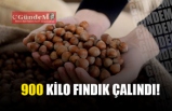 900 KİLO FINDIK ÇALINDI!