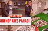 ÇİNEKOP ATEŞ PAHASI!