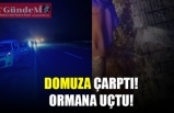 DOMUZA ÇARPTI! ORMANA UÇTU!