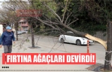 FIRTINA AĞAÇLARI DEVİRDİ!