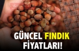 GÜNCEL FINDIK FİYATLARI!