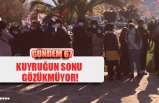 KUYRUĞUN SONU GÖZÜKMÜYOR!