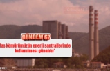 'Taş kömürümüzün enerji santrallerinde  kullanılması günahtır'