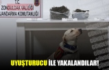 UYUŞTURUCU İLE YAKALANDILAR!