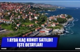 1 AYDA KAÇ KONUT SATILDI! İŞTE DETAYLAR!