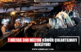 1 MİLYAR 300 MİLYON KÖMÜR ÇIKARTILMAYI BEKLİYOR!