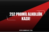 252 PROMİL ALKOLLÜK KAZA!