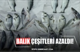 BALIK ÇEŞİTLERİ AZALDI!