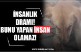 ''BUNU YAPAN İNSAN OLAMAZ!''