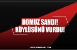 DOMUZ SANDI! KÖYLÜSÜNÜ VURDU!