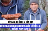 EVİN YAKININDA BULDU! NADİR GÖRÜLEN REİSHİ MANTARI!