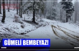 GÜMELİ BEMBEYAZ!