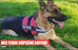 HER YERDE KÖPEĞİNİ ARIYOR!