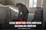 İLÇEDE MESUT ÖZİL SPOR KOMPLEKSİ ÇALIŞMALARI SÜRÜYOR!