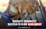 İŞKENCEYE UĞRAMIŞTI! ‘HASTALIK VE ÖLÜM’ AÇIKLAMASI!