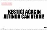 KESTİĞİ AĞACIN ALTINDA CAN VERDİ