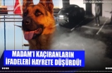 MADAM’I KAÇIRANLARIN  İFADELERİ HAYRETE DÜŞÜRDÜ!