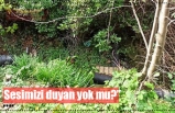 ''Sesimizi duyan yok mu?”