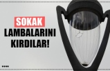 SOKAK  LAMBALARINI KIRDILAR!