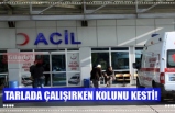 TARLADA ÇALIŞIRKEN KOLUNU KESTİ!