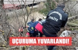 UÇURUMA YUVARLANDI!!