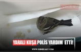 YARALI KUŞA POLİS YARDIM  ETTİ!