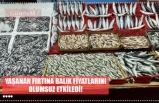 YAŞANAN FIRTINA BALIK FİYATLARINI OLUMSUZ ETKİLEDİ!