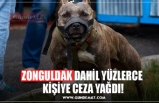 ZONGULDAK DAHİL YÜZLERCE  KİŞİYE CEZA YAĞDI!