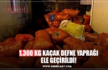 1.300 KG KAÇAK DEFNE YAPRAĞI ELE GEÇİRİLDİ!