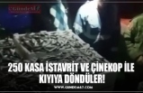 250 KASA İSTAVRİT VE ÇİNEKOP İLE  KIYIYA DÖNDÜLER!