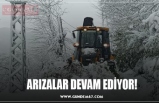 ARIZALAR DEVAM EDİYOR!