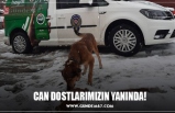 CAN DOSTLARIMIZIN YANINDA!