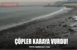 ÇÖPLER KARAYA VURDU!