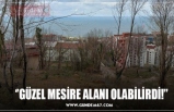 ‘’GÜZEL MESİRE ALANI OLABİLİRDİ!’’