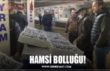 HAMSİ BOLLUĞU!