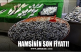 HAMSİNİN SON FİYATI!