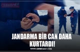 JANDARMA BİR CAN DAHA  KURTARDI!