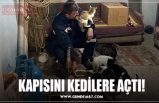 KAPISINI KEDİLERE AÇTI!