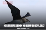 KORSAN MARTININ KONUMU ZONGULDAK!