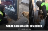 SOKAK HAYVANLARINI BESLEDİLER