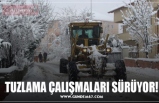 TUZLAMA ÇALIŞMALARI SÜRÜYOR!